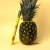 20241028_MKaron_HighLight_005-scaled.jpg-2.webp