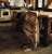 Koc-welniany-Wilcza-Polana.jpg.webp