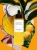 SummerOil_collage2.webp