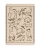 Pawfect_v2-min_1.png.webp