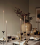 14445445-10.jpg.webp
